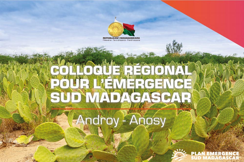  11 juin 2021 : Colloque régional pour l’émergence du sud de Madagascar Tolagnaro - suite 
